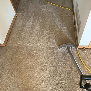Carpet Cleaners Sydney
